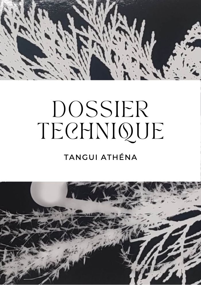 Dossier technique, planche 1